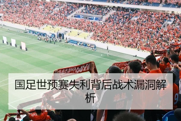 国足世预赛失利背后战术漏洞解析
